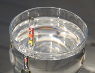 The alcoholometer in the glass with alcohol. Measuring the strength of alcohol solution.