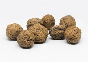 closeup Walnut on white background
