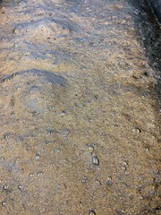 dirty water with bubbles