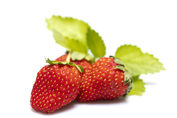 Erdbeeren mit Blätter in der Unschärfe
