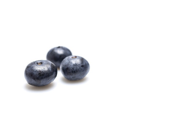 Heidelbeeren auf weissem Hintergrund