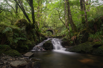 Obraz premium Fairytail