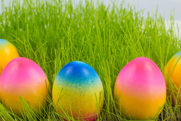 colorful painted easter eggs on grass