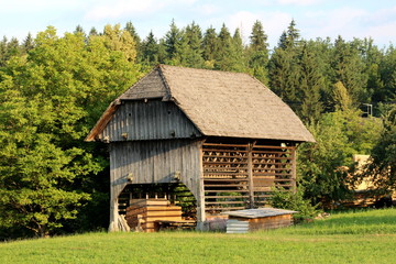 Tall wooden barn outdoor building with open lower part for storage surrounded with uncut grass, large pine trees and other vegetation on warm sunny day