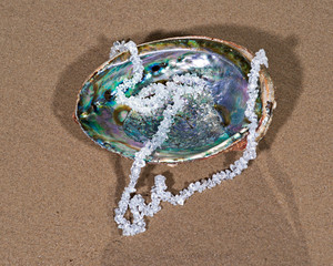 Clear Quartz Tumbled Chips Necklace presented on abalone shell  on the beach at sunrise.