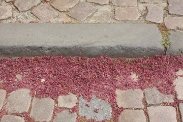 Kopfsteinpflaster, Pflastersteine mit roten Blüten
