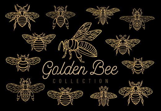 Honey bee bumblebees wasps set sketch style collection insert wings emblem symbols