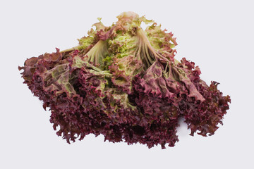 Red lettuce isolated on white. Purple lettuce salad isolated on white.