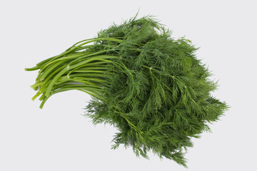 Bunch of dill isolated on white. Close up. Green fennel.