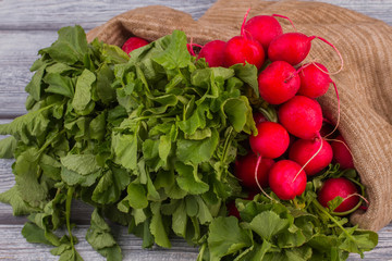 Raw radishes with green leaves. Close up. Grey wooden table background.