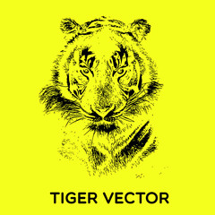 tiger vector illustration