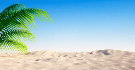 Leerer Sandstrand mit Palme und blauem Himmel