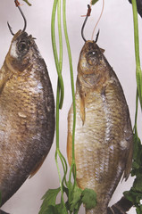 Dried river fish hangs on fishing hooks on a light background close-up. Beer Still Life