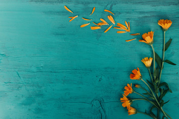 Background flowers, floral pattern, top view, pattern of flowers. Flowers pattern texture, beautiful flowers background. Heart of flovers.