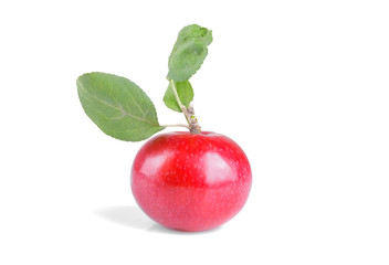 Beautiful mature fresh red apple with green leaves isolated on white isolated background