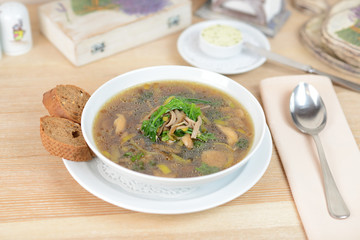 Mushroom soup with parsley and fungi
