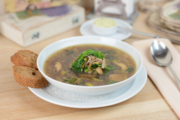 Mushroom soup with parsley and fungi