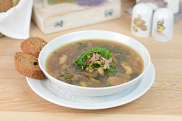 Mushroom soup with parsley and fungi