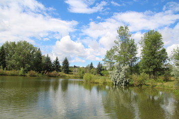 Fototapeta na wymiar Calm Lake, Rundle Park, Edmonton, Alberta