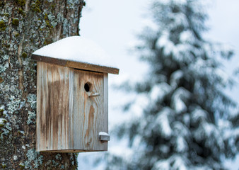 Vogelhaus Winter