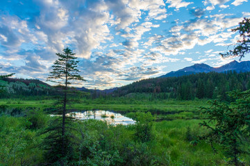Fototapeta na wymiar Jasper National Park, Alberta, Canada