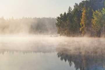 Fototapeta na wymiar foggy lake landscape