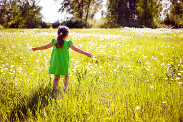 little girl in a green dress runs through the meadow in the summer evening