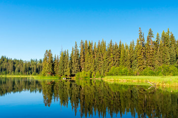 Fototapeta na wymiar Fawn Lake, British Columbia, Canada