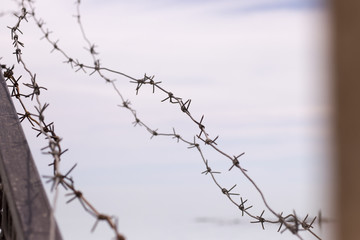 rusty barbed wire