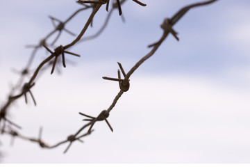 rusty barbed wire