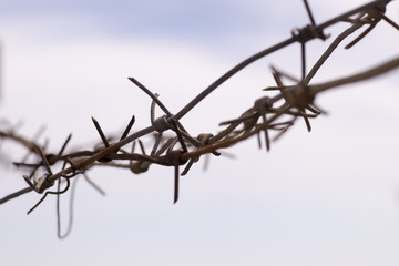 rusty barbed wire