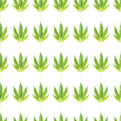 Marihuana hemp green pot background seamless patterns. Medical or drug hempseed natural leaf marijuana