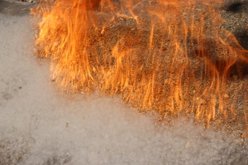 burning poplar fluff