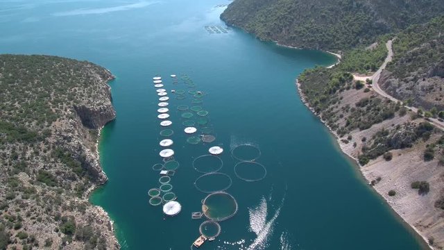 Aerial shot of a fish farm in Greece located in Saronic gulf near Sofiko village.