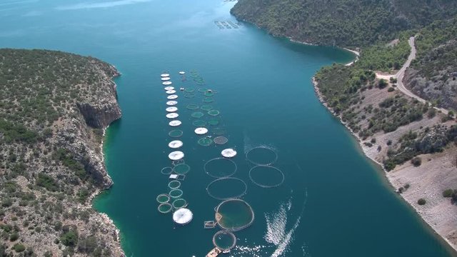 Aerial shot of a fish farm in Greece located in Saronic gulf near Sofiko village.