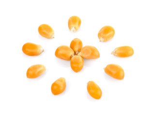 Dried yellow corn kernels on white background.