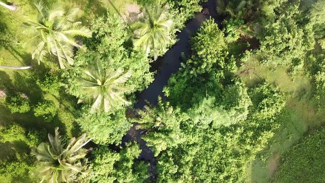 AERIAL SHOT: Puro and Lamba, Legazpi City, Philippines. Views of cocount trees, Mayon Volcano and the sea