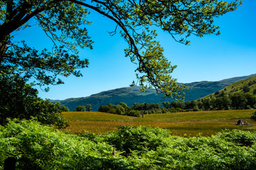 Fototapeta premium On the way to Tarbet, coming from Arrochar village. Scotland, UK.