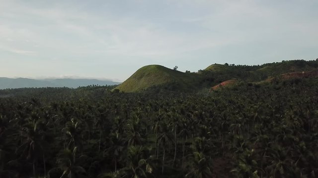 AERIAL SHOT: Puro and Lamba, Legazpi City, Philippines. Views of cocount trees, Mayon Volcano and the sea
