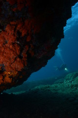 Underwater scenery with a scuba diver.