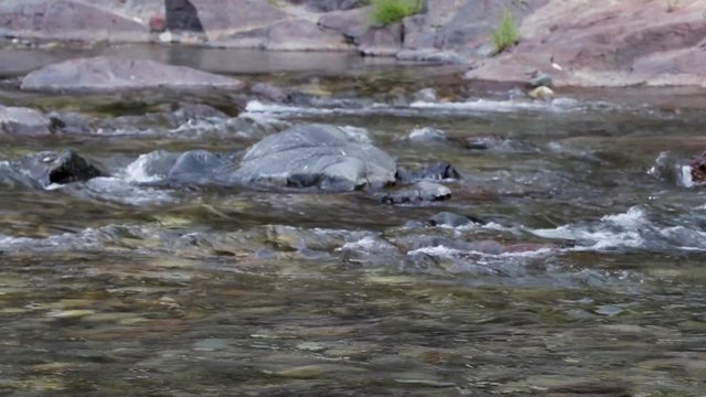 Beautiful Yuba River in Northern California flowing in the middle of summer