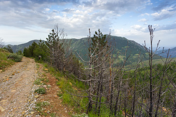 Gravel road in the Albanian mountains, Lure National Park.