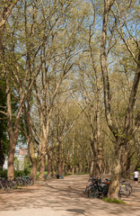 Obraz premium Park scene in a public park