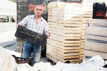 Fototapeta premium Man professional gardener holding crate with fertilization