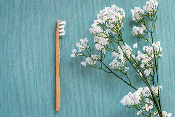 Biodegradable bamboo toothbrush on a blue canvas