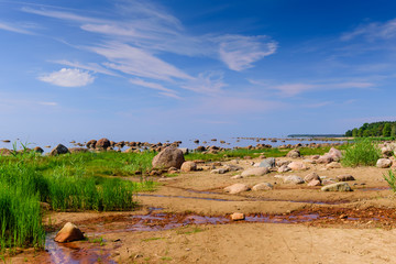 Baltic sea coast. Beautiful sea shore with blue water. Gulf of Finland coast, Lautaranta Cape, Leningrad region, Russia