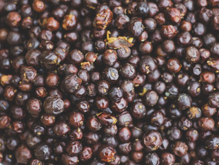 Juniper berries close up