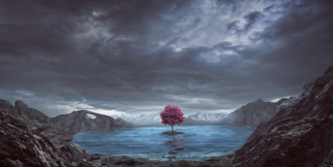 Obrazy  Pojedyncze drzewo i jezioro
