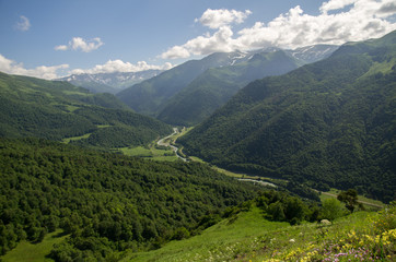 the Caucasus Mountains. ravine