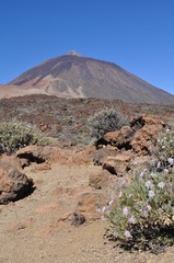 Pic du Teide, Ténérife, Canaries - 215545632